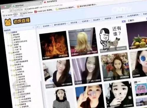 成人黄色小视频在线观看,在线观看背后的真相与风险