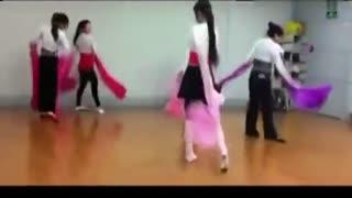 凤凰成人舞蹈视频,成人舞蹈视频中的优雅与激情展现