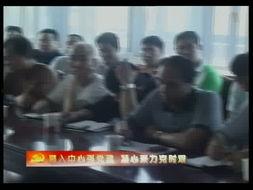 成人有色视频免费,免费观看背后的真相与风险