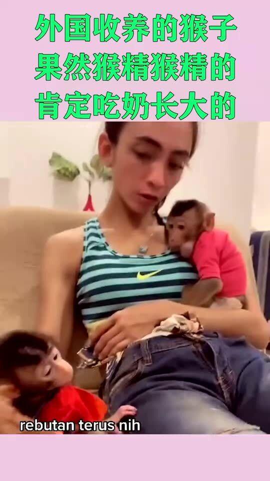 老外成人吃奶视频