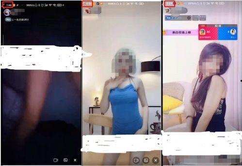 成人家里视频大全