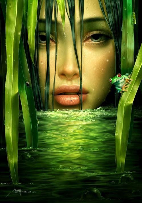 欧美成人插画视频